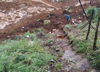 Afectaciones en Granizal