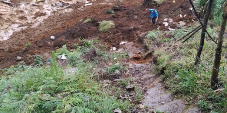 Afectaciones en Granizal