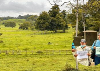 Así avanza la reforma agraria en Antioquia: 2.900 hectáreas entregadas en el Magdalena Medio y el Nordeste antioqueño