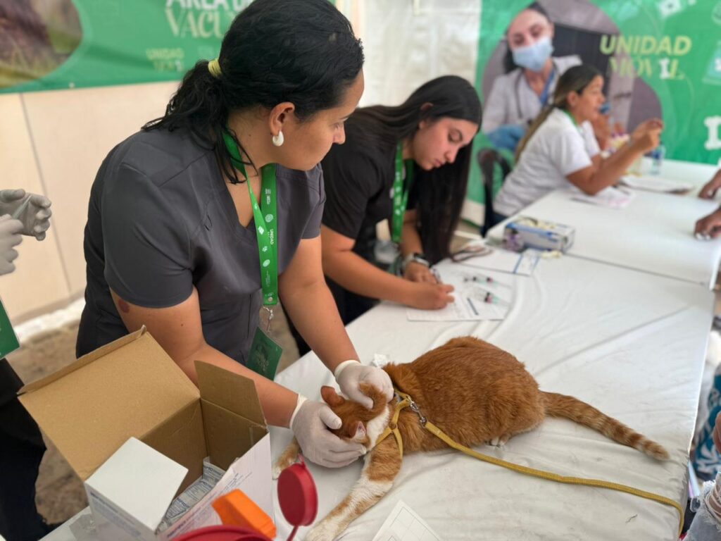 La Unidad de Atención Animal prestará sus diferentes servicios de manera descentralizada evitando así largos desplazamientos de las personas con sus mascotas.