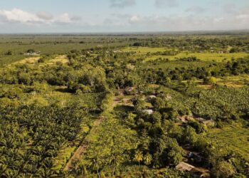 ANT recupera 420 hectáreas en el Urabá antioqueño para campesinos y víctimas