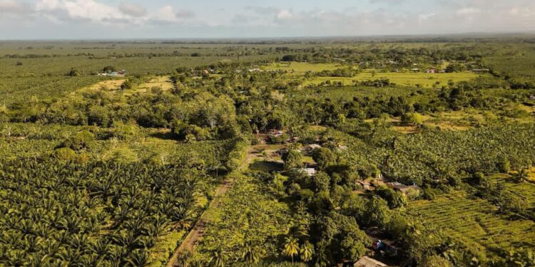 ANT recupera 420 hectáreas en el Urabá antioqueño para campesinos y víctimas